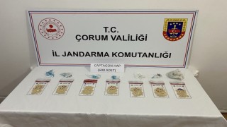 Çorum jandarmasından zehir tacirlerine geçit yok: 7 tutuklama