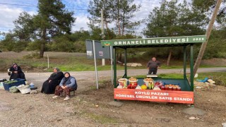 Dağ köylüsüne belediyeden destek
