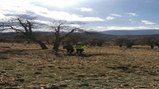 Dağlık alanda kaybolan genci jandarma buldu