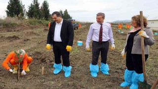 Dalaman Açık Ceza İnfaz Kurumunda 10 dekar alana Sakız ağacı fidanı dikildi