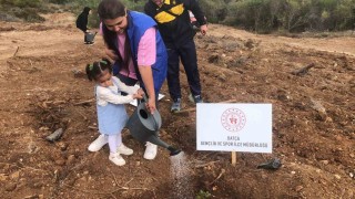 Datçada fidanlar toprakla buluştu