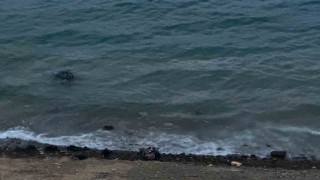 Datçada virajı alamayan araç denize uçtu: 1 yaralı