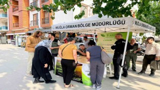 Datçada ‘Yeşil Vatan seferberliği