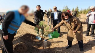 Denetimli serbestlik yükümlüleri 11 Kasım Milli Ağaçlandırma Gününde fidanları toprakla buluşturdu