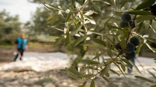 Denetimli Serbestlik Yükümlülerine anlamlı görev