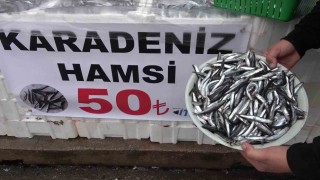 Denize kıyısı olmayan şehirde hamsinin kilosu 50 TLye düştü, vatandaş poşet poşet aldı