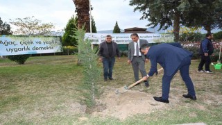 Denizli Milli Eğitim ‘Yeşeren Eller Hareketi Fidan Dikme kampanyası başlattı