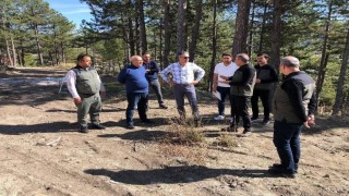 Denizli Orman Bölge Müdürü Ahmet Köle, Başkan Arslanı iadeyi ziyarette bulundu