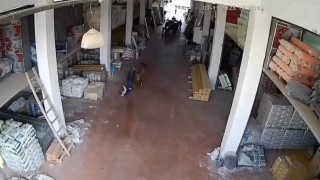 Depoya giren inek çalışanlara saldırdı: Vatandaşlar güçlükle kurtuldu