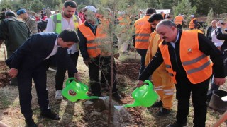 DEPSAŞ Enerjiden Makam Dağına 3 bin fidanlık yeşil dokunuş
