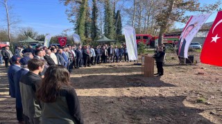 Devrekte fidan dikim programı