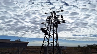 Dicle Elektrikte kış hazırlıkları başladı