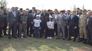 Dicle Gençlik Kampında milli ağaçlandırma gününde toplu fidan dikimi yapıldı