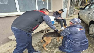 Dijital kimliklendirmede son tarih 31 Aralık 2025