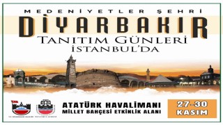 Diyarbakır Tanıtım Günleri 27 Kasımda İstanbulda başlıyor