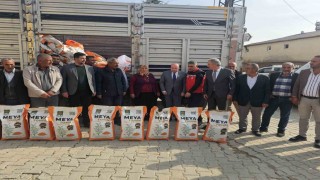 Diyarbakırda çiftçilere 55 ton mercimek tohumu dağıtıldı