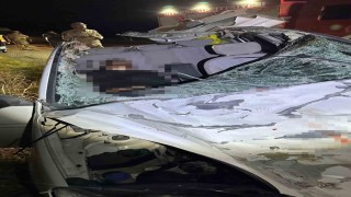 Diyarbakırda iki otomobil ile at çarpıştı: 1 ölü, 7 yaralı