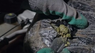 Doğubayazıtta 3 kilo 154 gram skunk ele geçirildi