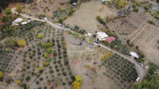 Dünyanın en pahalı baharatı safran Adanada hasat edildi