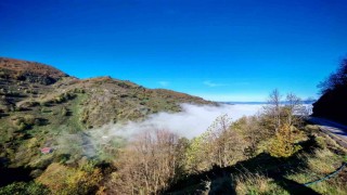 Düzce güne sisle uyandı