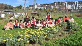 Düzce Üniversitesi botanik bahçesine miniklerden ziyaret