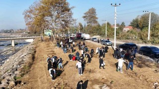 Düzce Üniversitesinden yeşil vatan için ağaçlandırma seferberliği