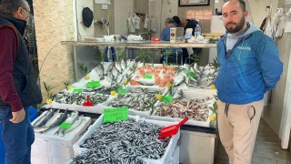 Düzcede balık fiyatları düşerken, vatandaşlar balığa yöneliyor