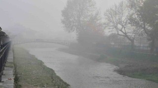 Düzcede sis etkili oluyor