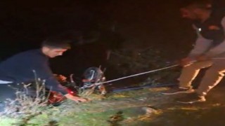 Düziçi’nde Motosiklet Uçuruma Yuvarlandı