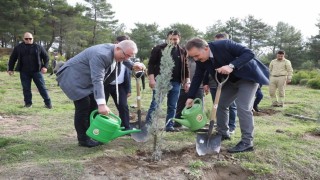 Edremitte fidanlar toprakla buluştu