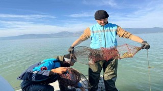 Eğirdir Gölünde 300 kaçak kerevit pinteri ele geçirildi