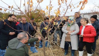 Elazığda ağaç budama ve aşılama eğitimi