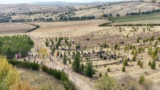 Elazığda Doğu Türkistan ve Filistin için fidan diktiler