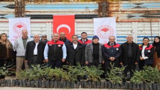 Elazığda sumak üretimi artıyor