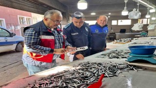 Emette su ürünlerine yönelik denetim