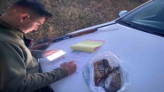 Ercişte kaçak avcılıkla mücadele çalışması