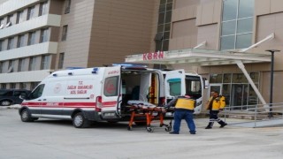 Erzincanda üzüm bağında çalışan vatandaşa ayı saldırdı