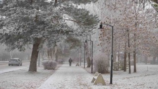 Erzurum güne sis ve kırağı ile uyandı