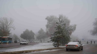 Erzurumda araç sayısı 150 bini geçti