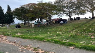 Esenlerde otomobil şarampole yuvarlandı: Sürücü ağır yaralandı