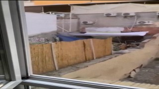 Eskişehirde köpeğe eziyet eden şahıs yakalandı