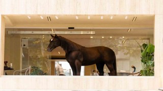 Espressolab, Jurassic Park teknolojisini şehirle buluşturdu