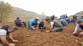 Eti Bakırdan ağaçlandırma seferberliği