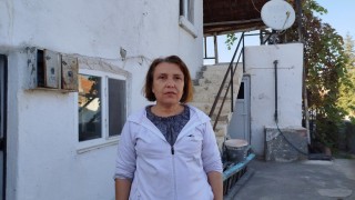 Evin çatısına yuva yapan eşek arıları hastanelik etti