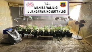 Evine kurduğu iklimlendirme sistemiyle kenevir yetiştirirken yakalandı