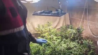 Evini uyuşturucu imalathanesine çevirmiş
