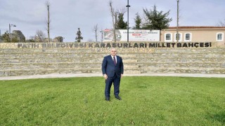 Fatihte Yeşil Seferberlik: 2 bin 500 ağaç toprakla buluştu