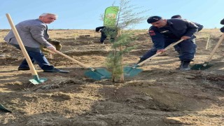 Fidanlar toprakla buluştu