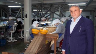 Fındık fiyatları, ihracat, döviz kuru ve hava şartlarına bağlı