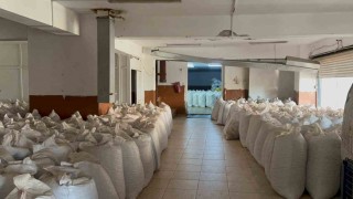 Fındık tüccarı fiyatların yükseleceği tarihe dair beklentiyi anlattı